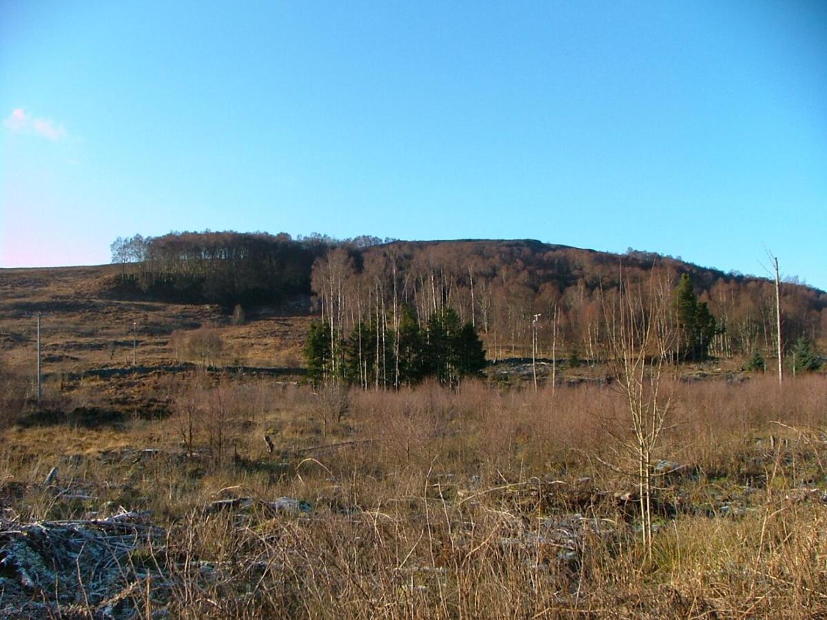 The Struan Inn Self Catering Lodge Kültér fotó